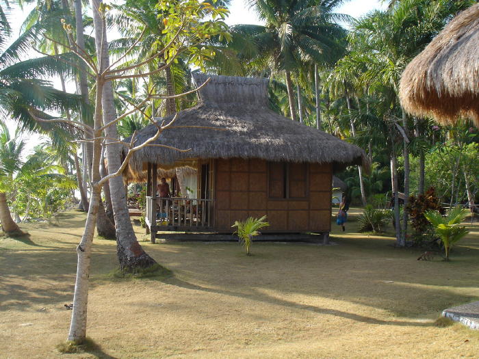 DSC02137