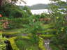 View from Alan Burrel's House